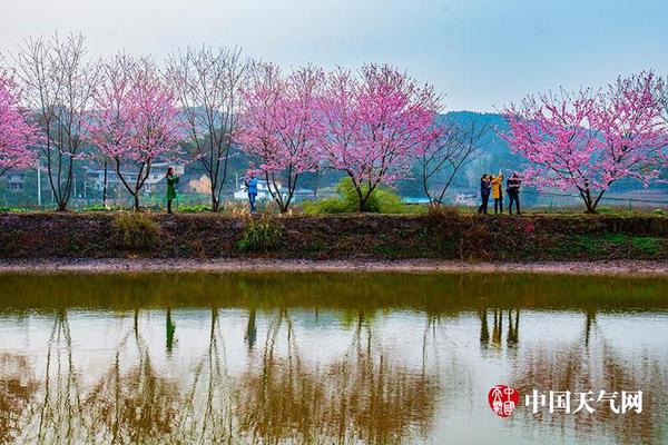 羅馬諾：大馬丁確實(shí)曾接近加盟曼聯(lián)，但前提是桑喬轉(zhuǎn)會(huì)維拉