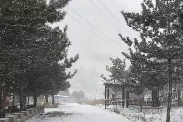 英超：水晶宮VS桑德蘭 留住核心格伊，水晶宮主場能否輕取升班馬