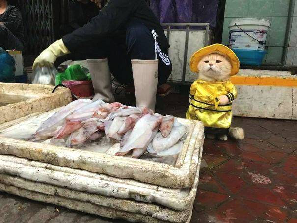 游客