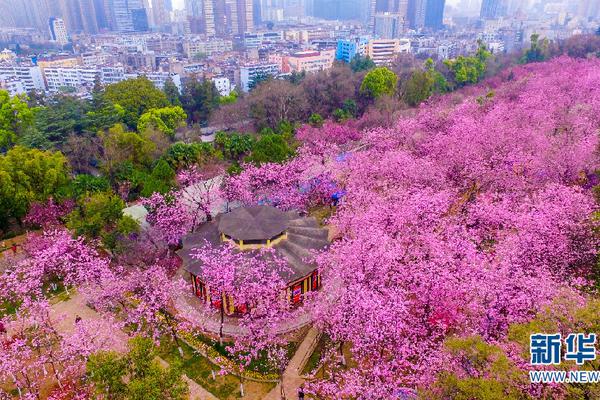 范迪克：對陣波蘭上半場或許該2