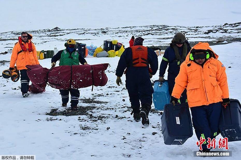 “六個聚焦”加快推進現代畜牧業建設