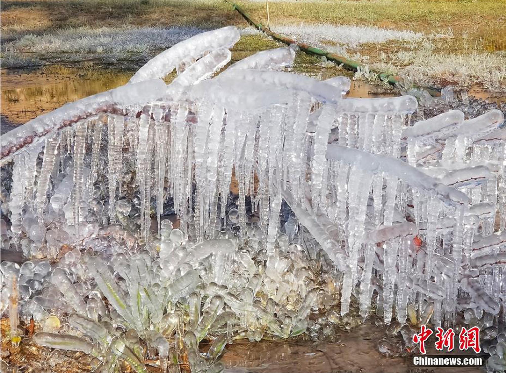 新標(biāo)準(zhǔn)效應(yīng)改善消費認(rèn)知  零添加概念調(diào)味品打折清庫