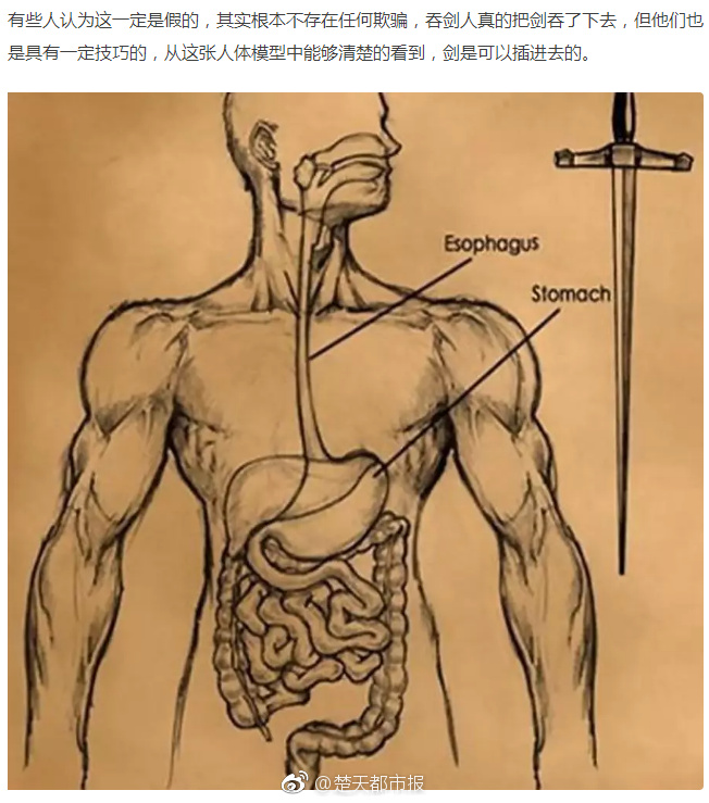 游客