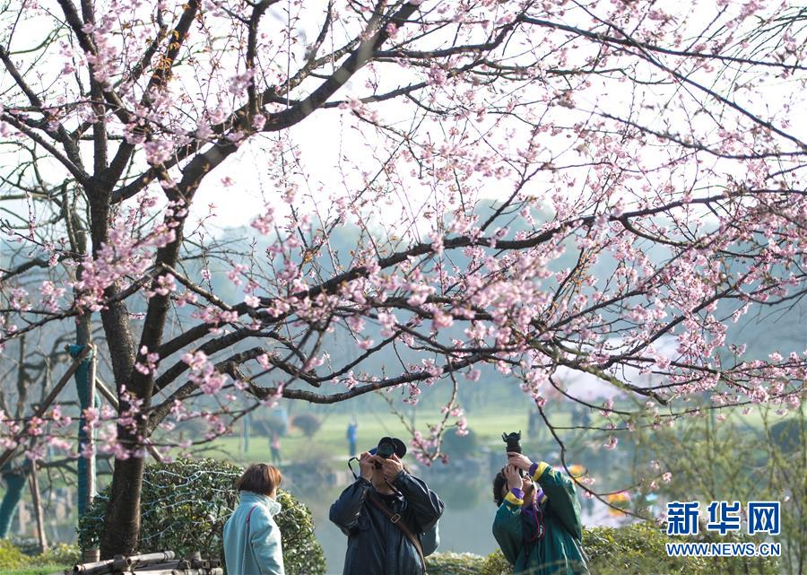 啊這？杰克遜是拜仁隊(duì)史塞內(nèi)加爾第3人，前兩人分別是馬內(nèi)和薩爾