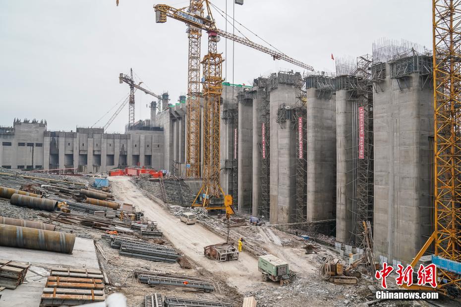 黑龍江：“五大”行動提升農業科技創新體系整體效能