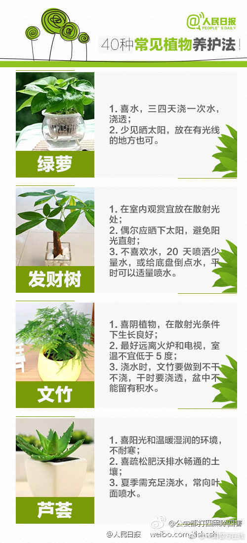 游客