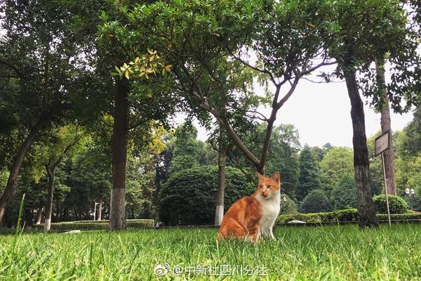 效仿阿諾德！紅軍26歲鐵衛拒不續約 明年要去皇馬