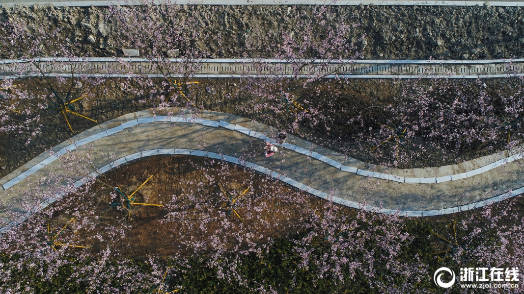 游客