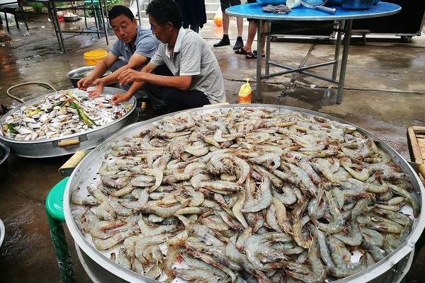 2025英國愛丁堡大學留學費用
