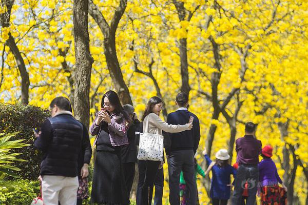 奧納納兩失誤致曼聯出局，阿莫林回擊批評：別只盯著門將