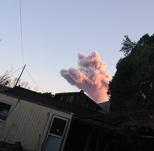 游客