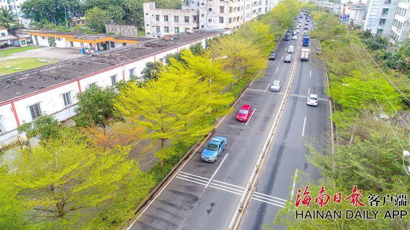 加利福尼亞大學洛杉磯分校怎么樣？