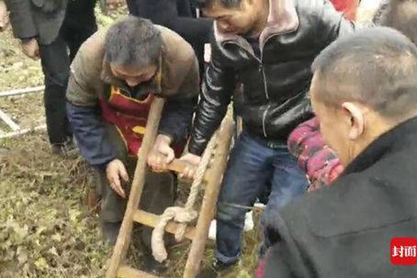 DO：哈弗茨將接受膝蓋手術，預計缺陣數周
