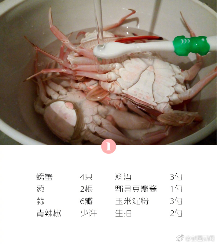 游客