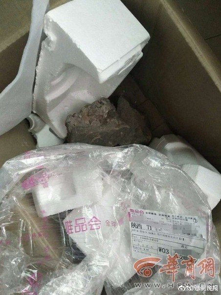 寵物食品上市公司去年業績亮眼 自主品牌加速崛起