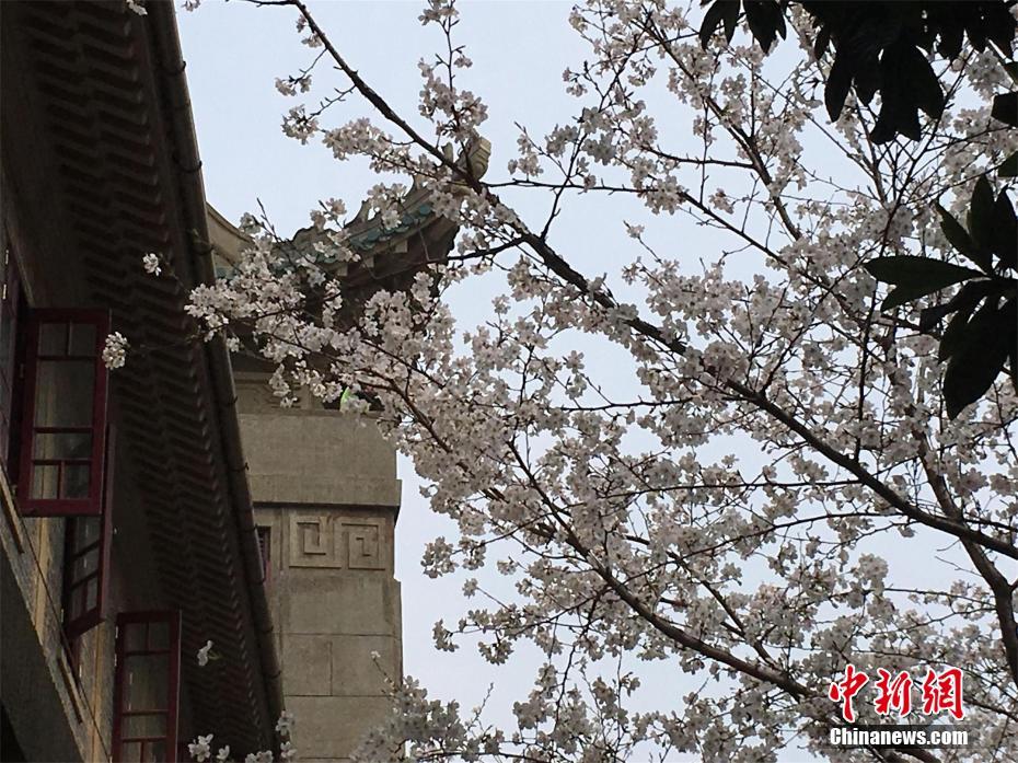 游客