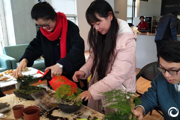 新西蘭留學條件：通往優質教育的指南