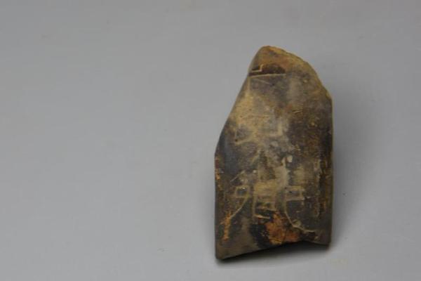 阿莫林：對陣曼城巴因迪爾會首發；在這種比賽中我更有信心