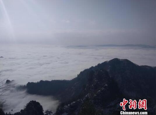 郵報：梅努將重申自己希望租借離開曼聯的愿望